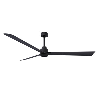 Matthews Fan Alessandra Three Blade Transitional Ceiling Fan image 87