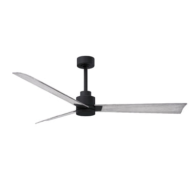Matthews Fan Alessandra Three Blade Transitional Ceiling Fan image 49