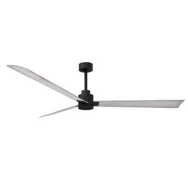 Matthews Fan Alessandra Three Blade Transitional Ceiling Fan image 83