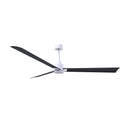Matthews Fan Alessandra Three Blade Transitional Ceiling Fan image 95