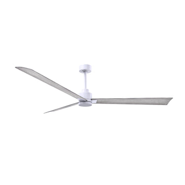 Matthews Fan Alessandra Three Blade Transitional Ceiling Fan image 90