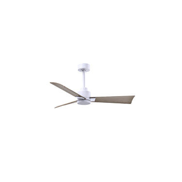 Matthews Fan Alessandra Three Blade Transitional Ceiling Fan image 23