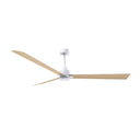 Matthews Fan Alessandra Three Blade Transitional Ceiling Fan image 93