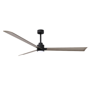 Matthews Fan Alessandra Three Blade Transitional Ceiling Fan with Integrated 5CCT LED image 83