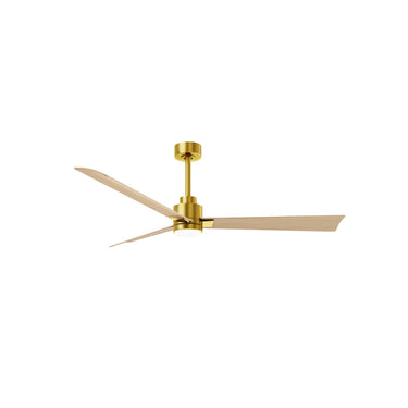 Matthews Fan Alessandra Three Blade Transitional Ceiling Fan with Integrated 5CCT LED image 35