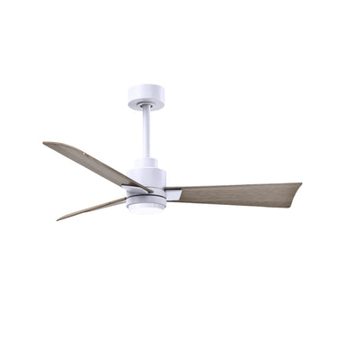 Matthews Fan Alessandra Three Blade Transitional Ceiling Fan with Integrated 5CCT LED image 21