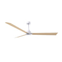Matthews Fan Alessandra Three Blade Transitional Ceiling Fan with Integrated 5CCT LED image 91