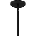 Alani 4 Light Pendant 24