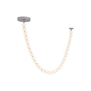 Alora Akoya LED Pendant - Crescent Harbor