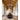 Alora Brickell 5 Light Chandelier - Crescent Harbor
