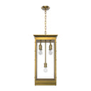 Alora Douglas 5 Light Pendant - Crescent Harbor