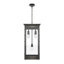 Alora Douglas 5 Light Pendant - Crescent Harbor