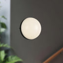 Alora Globo LED Wall/Vanity Light - Crescent Harbor