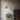 Alora Mood Archer WV584510 10 Inch Wall/Vanity Light 4