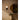 Alora Mood Ariel WV425112 12 Inch Wall/Vanity Light 10
