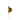 Alora Mood Claire WV607202 5 Inch Wall/Vanity Light
