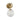 Alora Mood Fiore WV407306 6 Inch Wall/Vanity Light 7