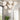 Alora Mood Nouveau CH505335 35 Inch Chandelier 2