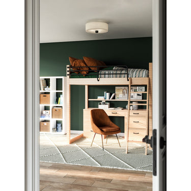 Alora Mood Theo FM547924 24 Inch Flush Mount 1