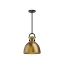 Alora Mood Waldo PD411311 11 Inch Pendant 5