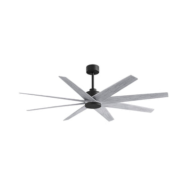 Matthews Fan Ariella Eight Blade Ceiling Fan image 49