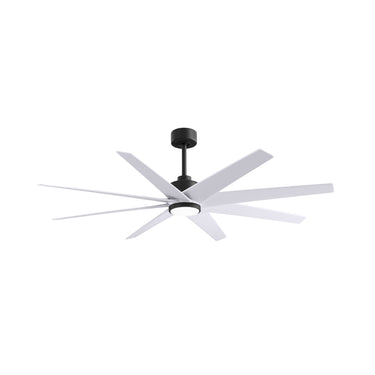 Matthews Fan Ariella Eight Blade Ceiling Fan image 19