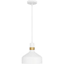 Arbor 1 Light Mini Pendant 9