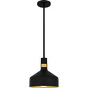 Arbor 1 Light Mini Pendant 1