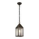 Ashford Pendant shown in the Bronze finish with a Seedy shade - 9522-BZ-SDY 1