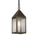 Ashford Pendant shown in the Bronze finish with a Seedy shade - 9522-BZ-SDY