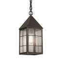Ashford Pendant shown in the Bronze finish with a Seedy shade - 9522-H-BZ-SDY
