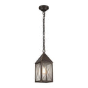 Ashford Pendant shown in the Bronze finish with a Seedy shade - 9522-X-BZ-SDY 1