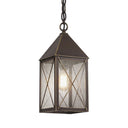 Ashford Pendant shown in the Bronze finish with a Seedy shade - 9522-X-BZ-SDY