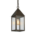 Ashford Pendant shown in the Dark Brass finish with a Clear shade - 9522-DB-CL