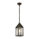 Ashford Pendant shown in the Dark Brass finish with a Seedy shade - 9522-DB-SDY 1