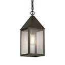Ashford Pendant shown in the Dark Brass finish with a Seedy shade - 9522-DB-SDY