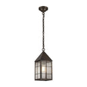 Ashford Pendant shown in the Dark Brass finish with a Seedy shade - 9522-H-DB-SDY 1