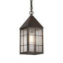Ashford Pendant shown in the Dark Brass finish with a Seedy shade - 9522-H-DB-SDY