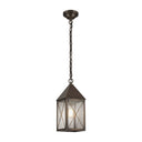 Ashford Pendant shown in the Dark Brass finish with a Seedy shade - 9522-X-DB-SDY 1