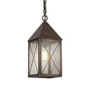 Ashford Pendant shown in the Dark Brass finish with a Seedy shade - 9522-X-DB-SDY
