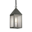 Ashford Pendant shown in the Gunmetal finish with a Seedy shade - 9522-GM-SDY