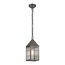 Ashford Pendant shown in the Gunmetal finish with a Seedy shade - 9522-H-GM-SDY 1