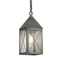 Ashford Pendant shown in the Gunmetal finish with a Seedy shade - 9522-X-GM-SDY
