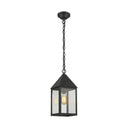 Ashford Pendant shown in the Matte Black finish with a Clear shade - 9522-BK-CL 1