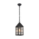 Ashford Pendant shown in the Matte Black finish with a Clear shade - 9522-H-BK-CL 1
