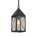 Ashford Pendant shown in the Matte Black finish with a Clear shade - 9522-X-BK-CL