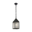 Ashford Pendant shown in the Matte Black finish with a Seedy shade - 9522-BK-SDY 1