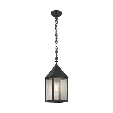 Ashford Pendant shown in the Matte Black finish with a Seedy shade - 9522-BK-SDY 1