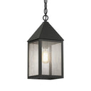 Ashford Pendant shown in the Matte Black finish with a Seedy shade - 9522-BK-SDY