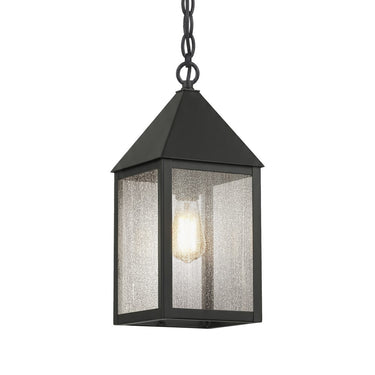 Ashford Pendant shown in the Matte Black finish with a Seedy shade - 9522-BK-SDY